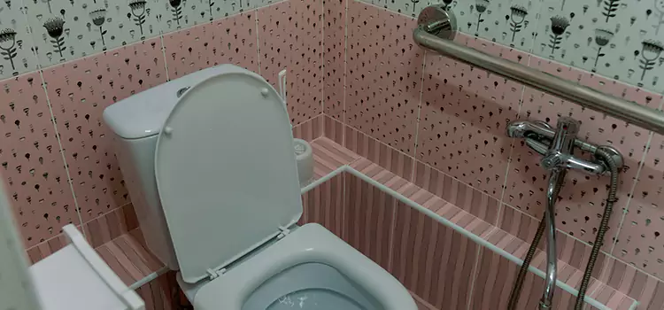 Meeting Diverse Needs With Accessible Restroom Solutions in Los Angeles, CA