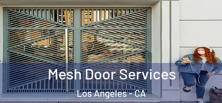 Mesh Door Services Los Angeles - CA