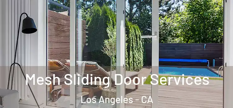 Mesh Sliding Door Services Los Angeles - CA